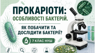 Матеріали до уроку. Прокаріоти: особливості бактерій. Як побачити та дослідити бактерії? 7 кл НУШ Відео, презентація, інформатика