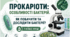 Матеріали до уроку. Прокаріоти: особливості бактерій. Як побачити та дослідити бактерії? 7 кл НУШ Відео, презентація, інформатика