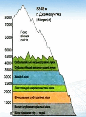 0901svjn-8a65-303x411.png