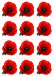 0901sx1m-3072-112x158.png