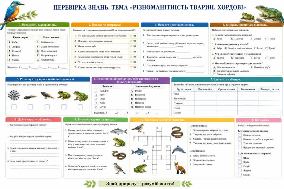 0901t13p-f457-940x627.png