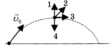 0901t1wr-eae1-380x155.png