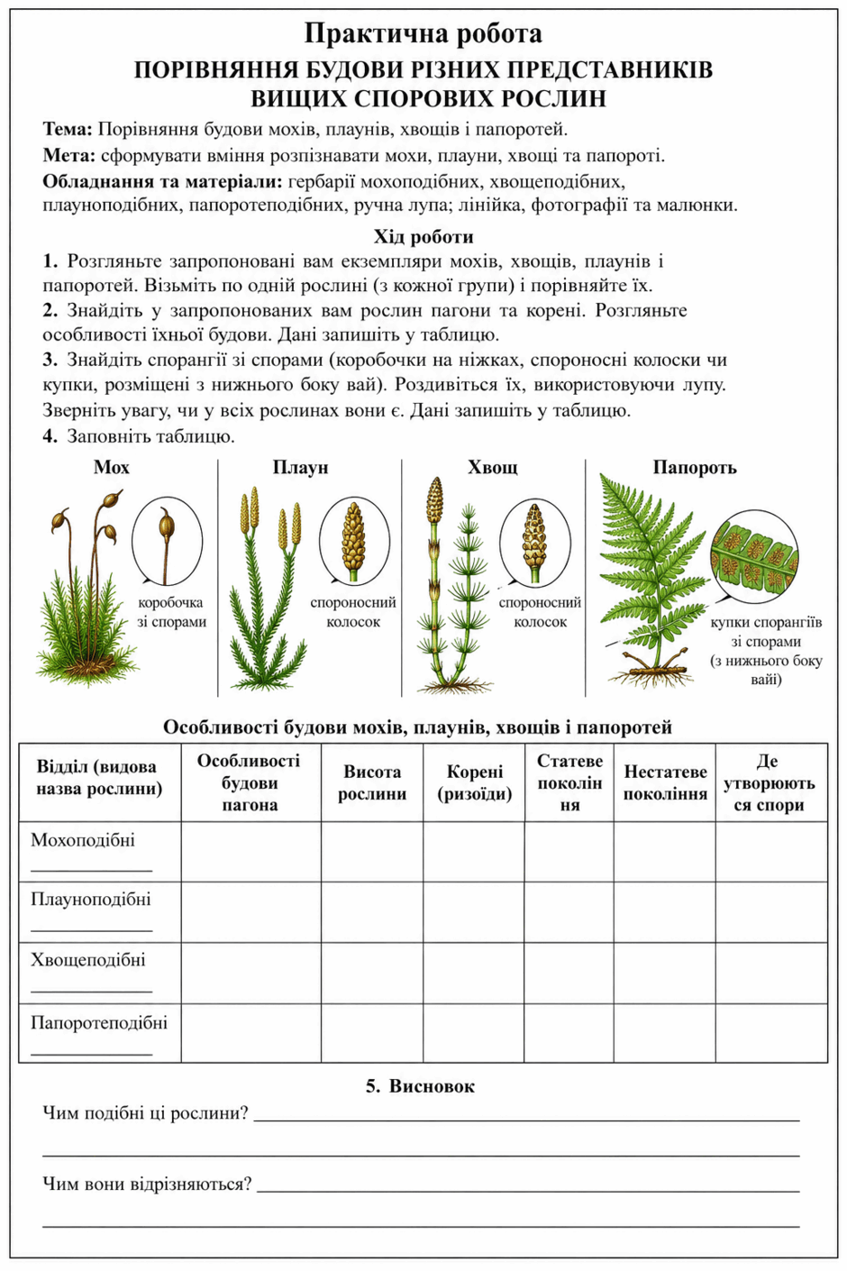 0901t2xn-d3a5-940x1410.png