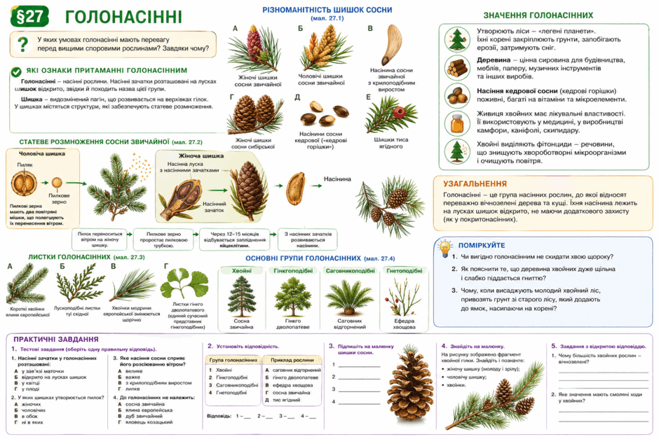 0901t34e-b439-940x627.png