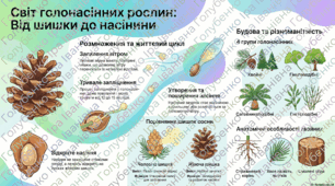 Голонасінні