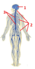 0901t5cu-118d-115x226.png