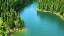 0901t7w4-388a-208x117.jpg