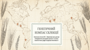 Презентація "Значення для планування селекційної роботи вчення М. І. Вавилова про центри різноманітності та походження культурних рослин, закону гомологічних рядів спадкової мінливості"
