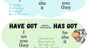be,can,have got/has got. present simple