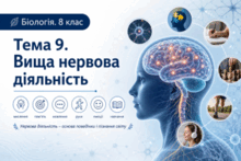 Тема 9. Вища нервова діяльність. Біологія. 8 клас. Балан