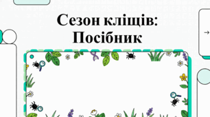 Світ кліщів: біологія, небезпеки та методи захисту