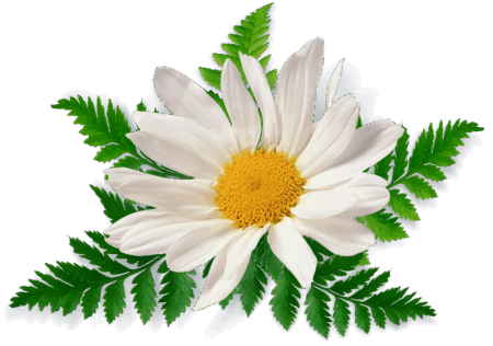 0901tmp2-8a26-450x316.png