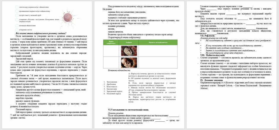 0901toix-8554-940x438.png