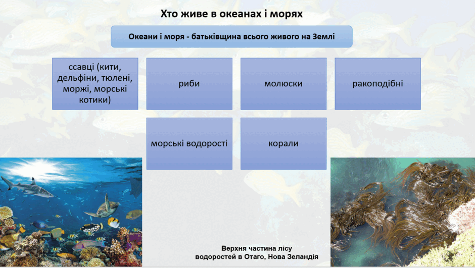0901toxg-bc03-940x531.png