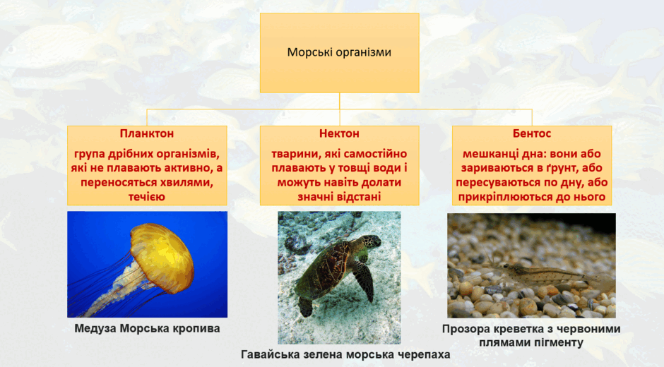 0901toxj-c510-940x520.png