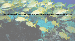 Географія. 6 клас (за підручником Гільберг Т.Г.). Презентація з теми "На що багатий Світовий океан та як людина використовує ці багатства"