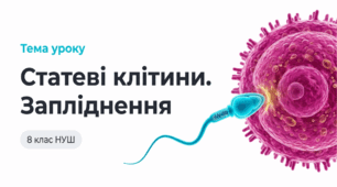 Презентація "Статеві клітини. Запліднення" 8 НУШ (відеоогляд + інфографіка)