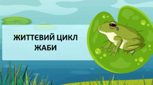 Демонстраційний матеріал "Життєвий цикл жаб"