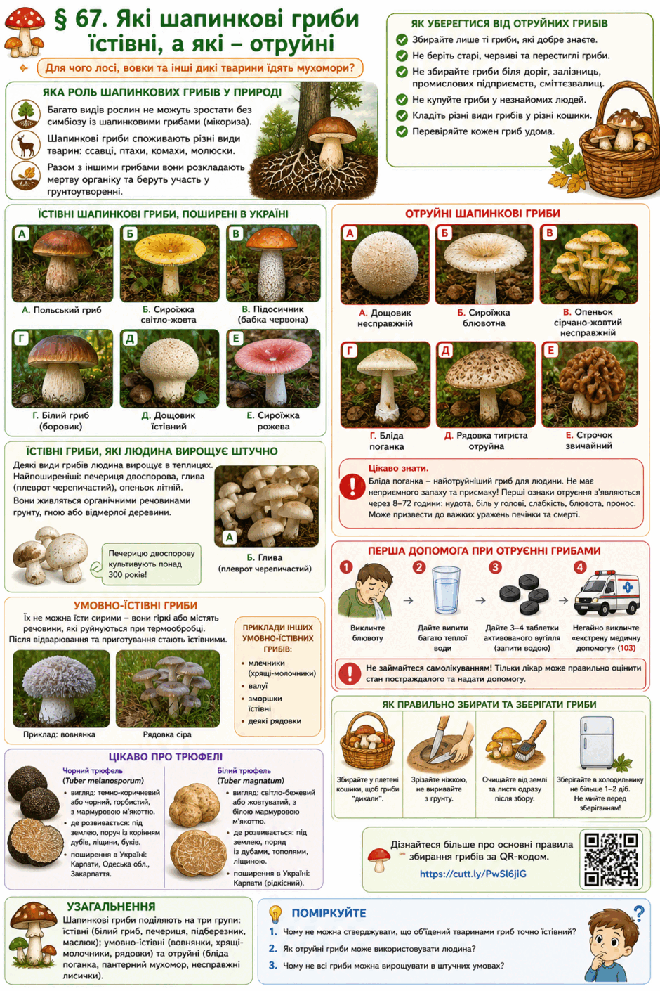 0901tp5j-902a-940x1410.png