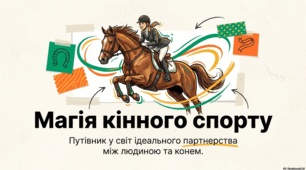 Світ кінного спорту: грація, традиції та факти