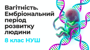 Презентація "Вагітність. Ембріональний період розвитку  людини" 8 НУШ (відеоогляд + інфографіка)