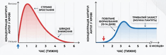 0901tpz8-df38-567x187.png