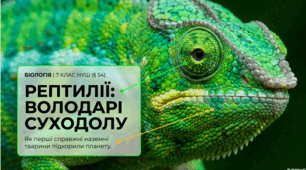 § 54. Рептилії.