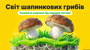 Шапинкові гриби