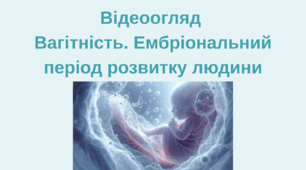 Вагітність. Ембріональний період розвитку  людини. Відеоогляд