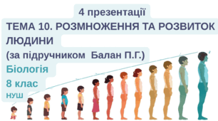Розмноження та розвиток людини Тема 10 (4 презентації за підручником Балан П.)