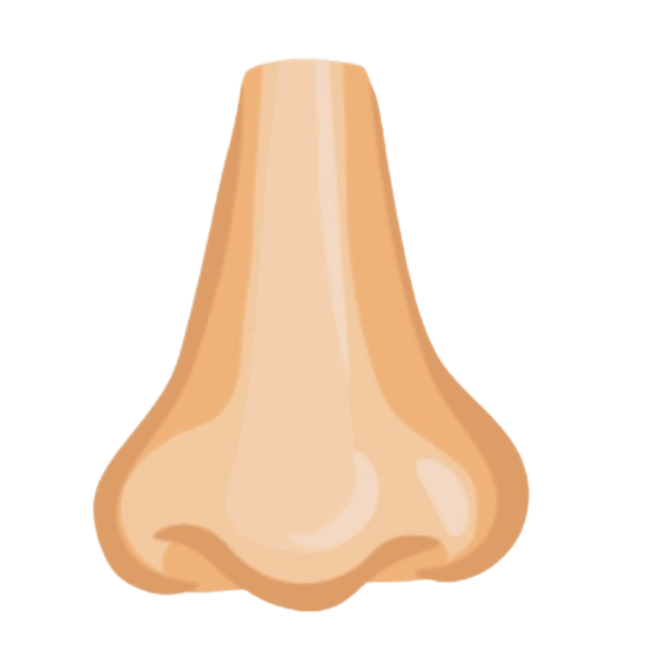 0901tts7-da49-940x940.png