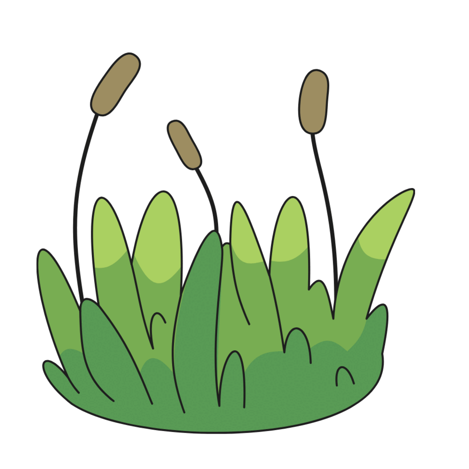 0901ttth-9756-940x940.png