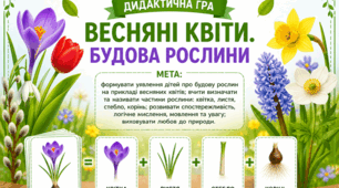 Дидактична гра "Весняні квіти. Будова рослини"