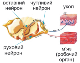 0901tx38-cdb1-260x206.png