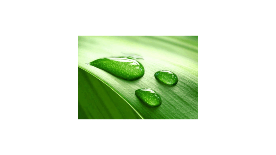 0901tyig-a29b-940x529.png