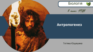 Антропогенез. 8 клас. НУШ