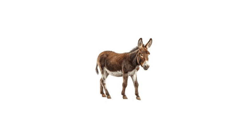 0901tyjt-2c01-940x529.png