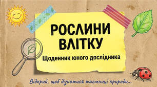 Рослини влітку