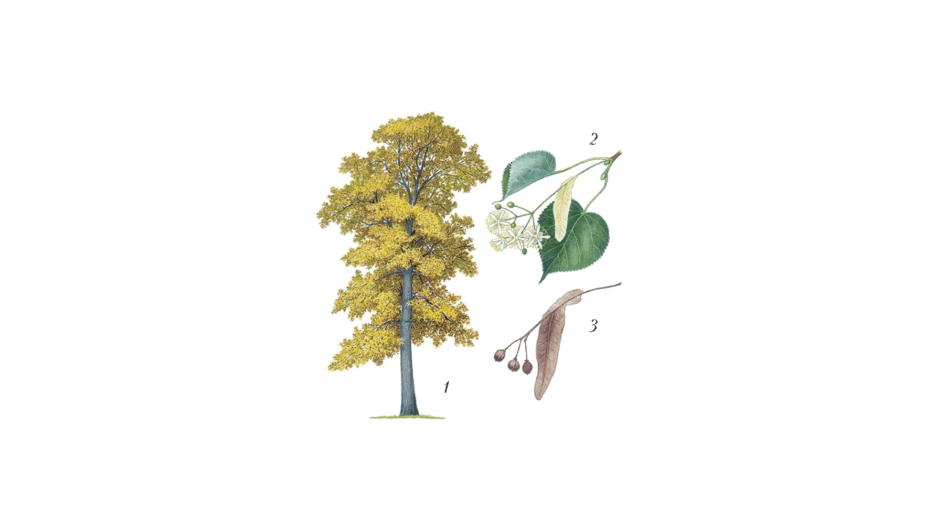 0901u0kz-b6ae-940x529.png