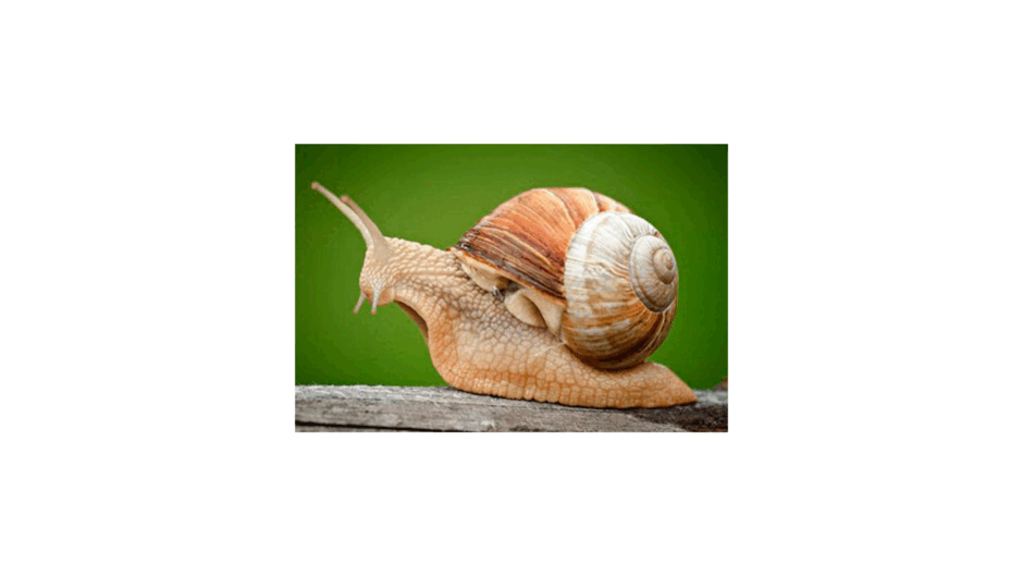 0901u0vg-1ecb-940x529.png