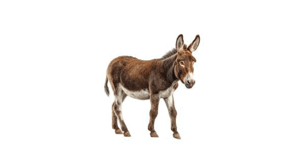 0901u0yb-79c8-940x529.png