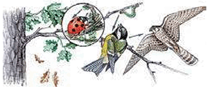 0901u1y5-00c3-295x130.png