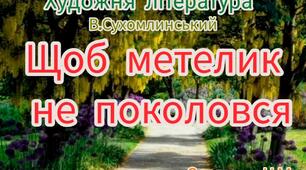 Художня література ( Слухання оповідання В.Сухомлинського " Щоб метелик не поколовся" )