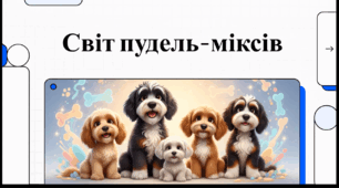 Відеоогляд "1 травня - День пудель-міксів"