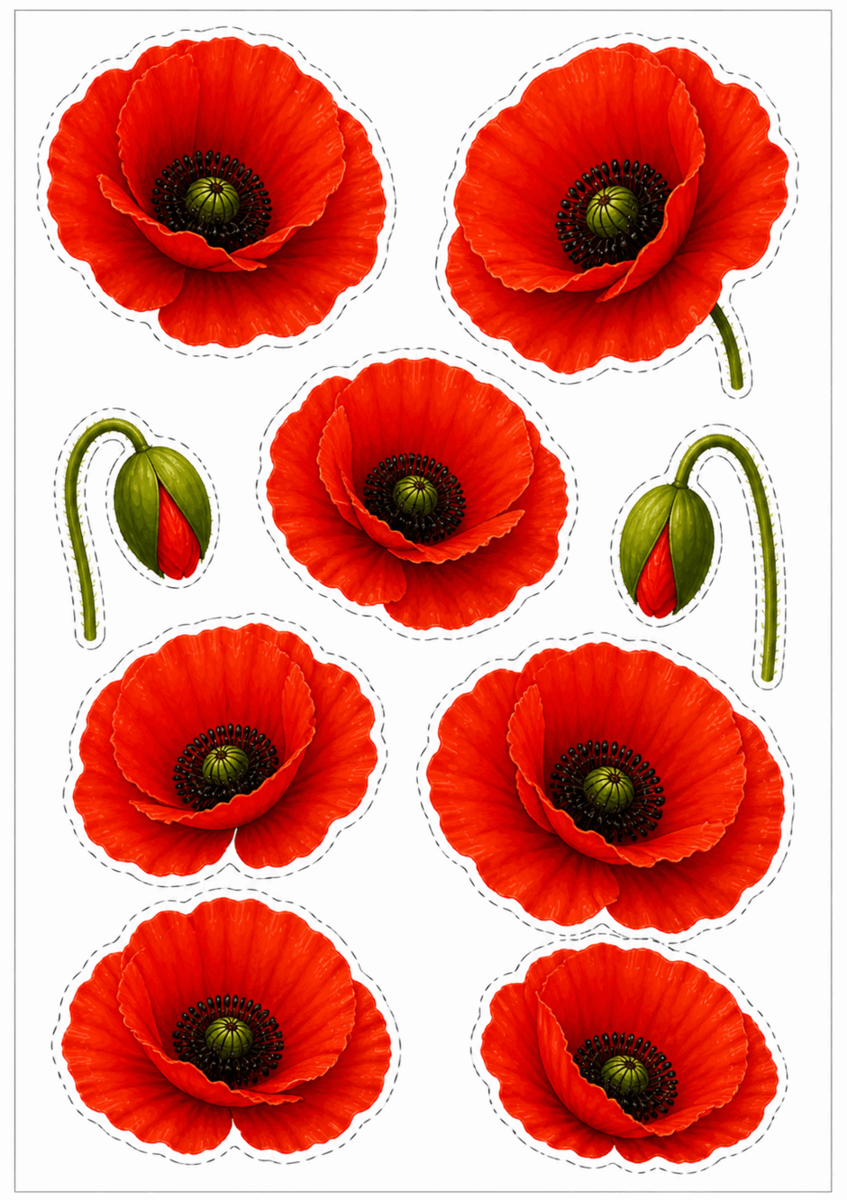 0901u59b-50c6-940x1331.png