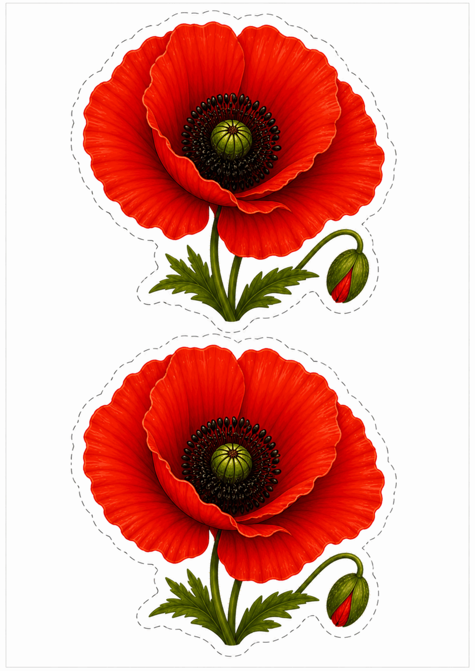 0901u59p-0e78-940x1328.png