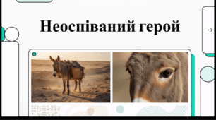 Відеоогляд "8 травня - Всесвітній день віслюка"