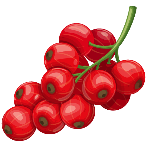 0901u9vt-44c5-500x500.png