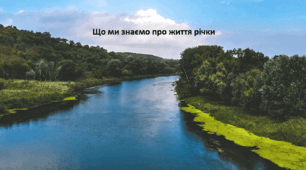 Географія. 6 клас (за підручником Гільберг Т.Г.). Презентація з теми "Що ми знаємо про життя річки"