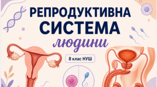 Репродуктивна система людини. 👩‍🔬💫👨‍🔬👶8 кл НУШ